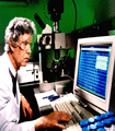 file/ELEMENTO_NEWSLETTER/19623/informatica.gif