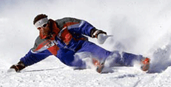 file/ELEMENTO_NEWSLETTER/19704/sci_Sport.gif