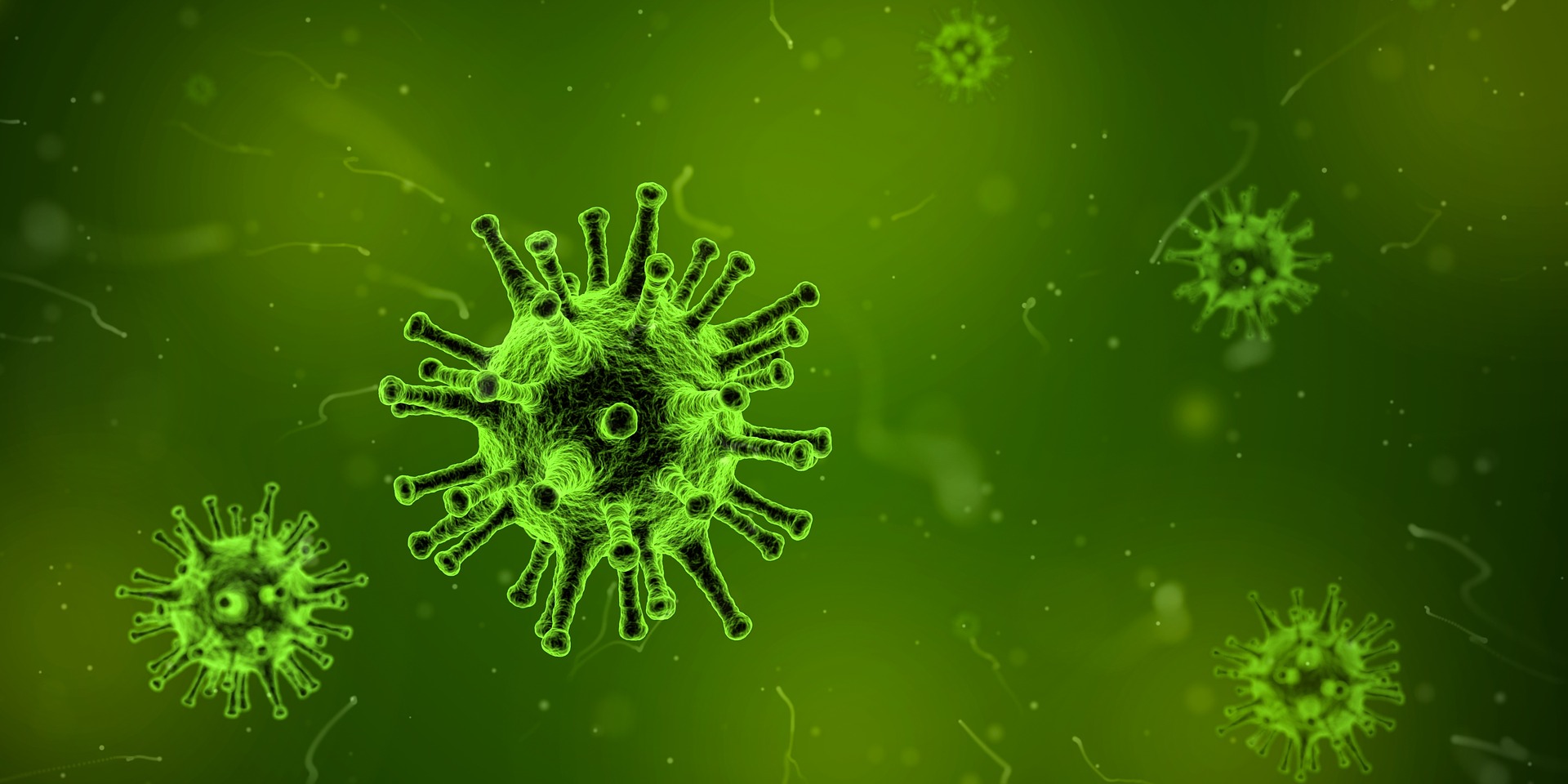file/ELEMENTO_NEWSLETTER/20121/Influenza_virus.jpg