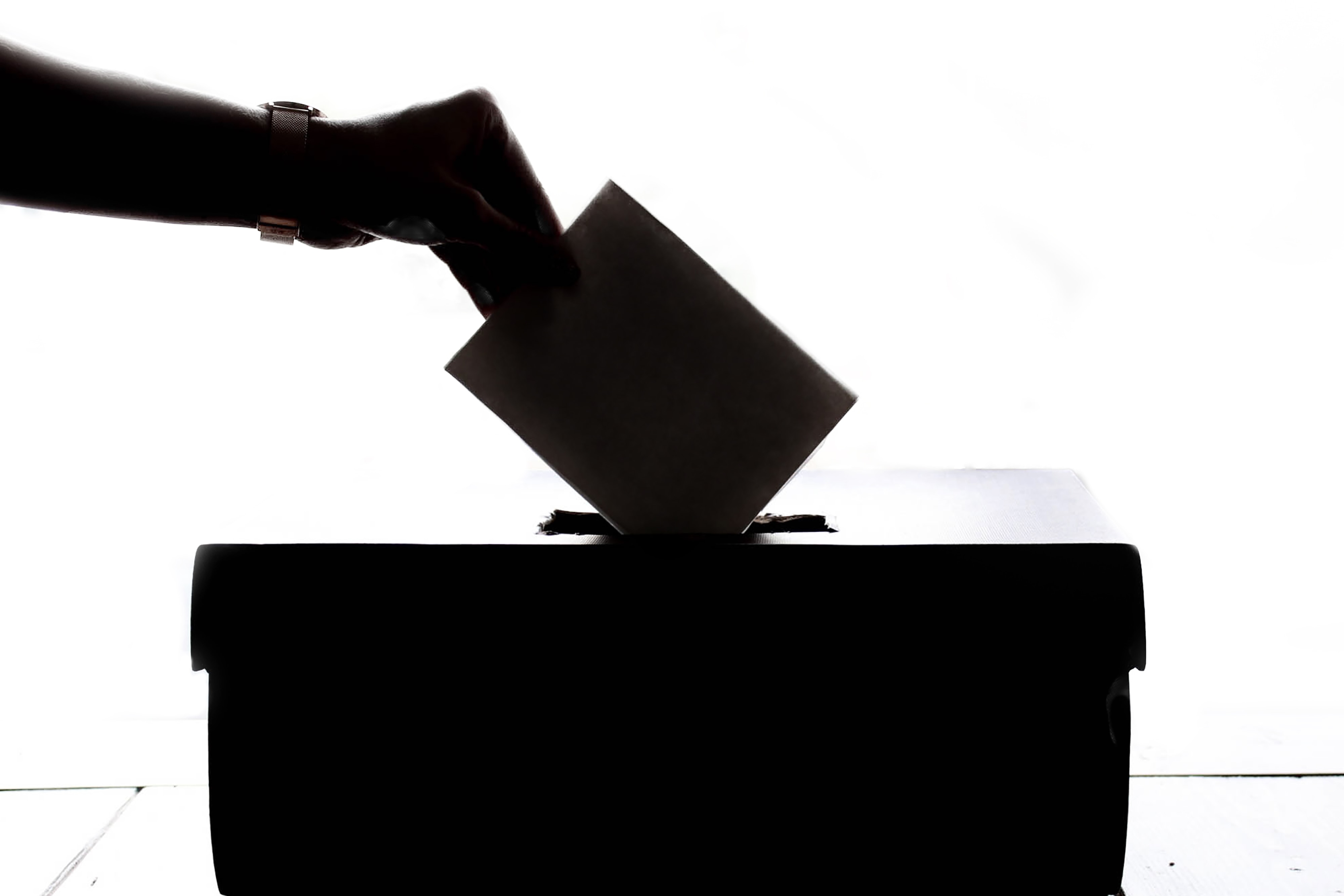 file/ELEMENTO_NEWSLETTER/20251/Elezioni_Voto_element5-digital-T9CXBZLUvic-unsplash.jpg
