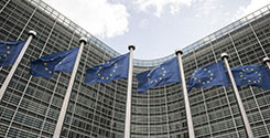 file/ELEMENTO_NEWSLETTER/20292/Unione_Europea_bandiere_Palazzi_Bruxelles_140618.jpg