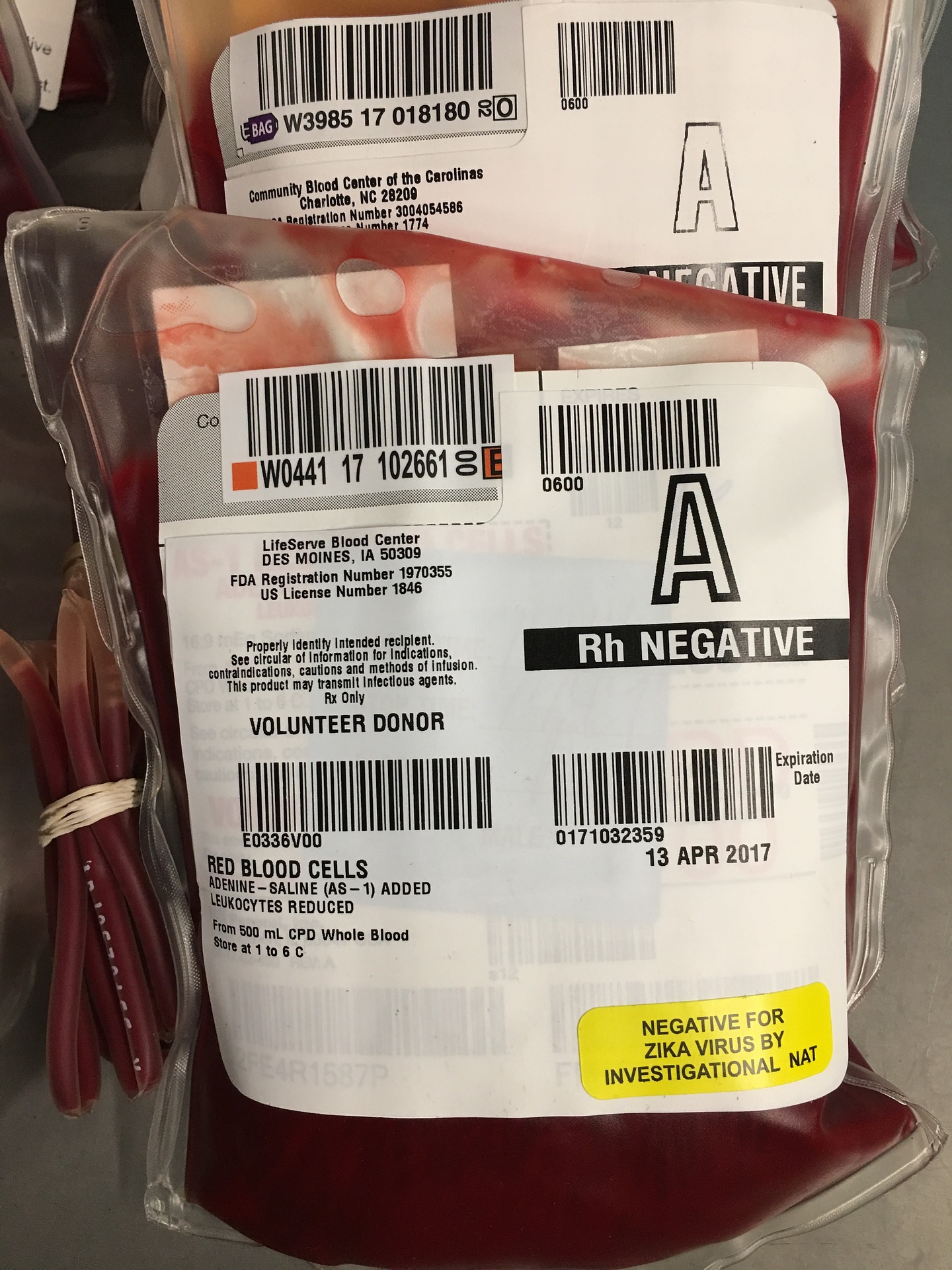 file/ELEMENTO_NEWSLETTER/20343/SANGUE_blood-2169514_1920.jpg