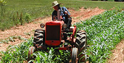 file/ELEMENTO_NEWSLETTER/20538/agricoltura_agricoltore_270917.jpg