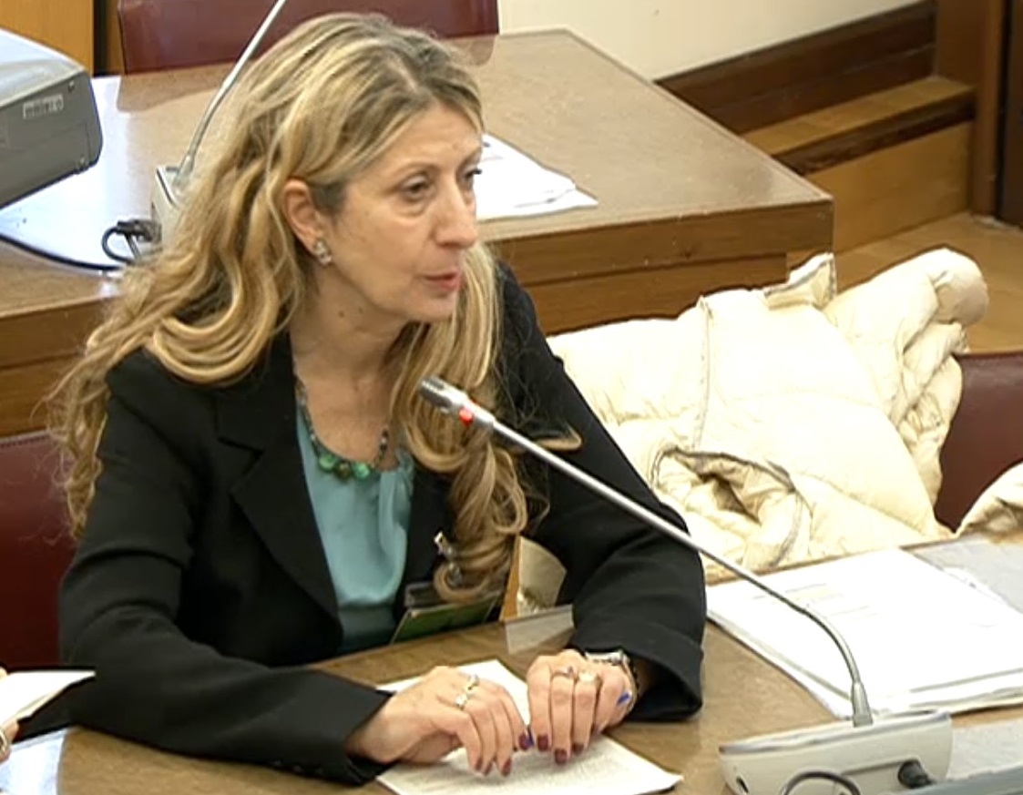 file/ELEMENTO_NEWSLETTER/20548/Epatite_C_audizioneDirigentiRegioni_20191203.jpg