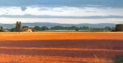 file/ELEMENTO_NEWSLETTER/20554/Agricoltura_1.gif