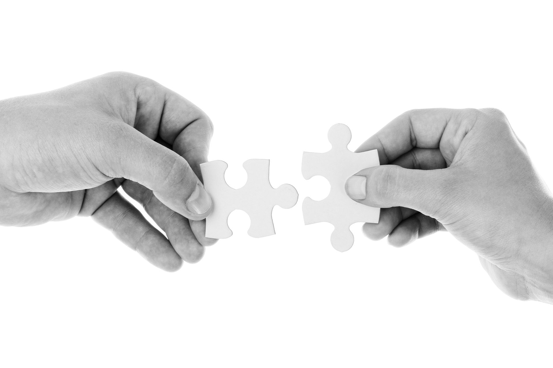 file/ELEMENTO_NEWSLETTER/20572/Sociale_puzzle_connect-20333_1920.jpg