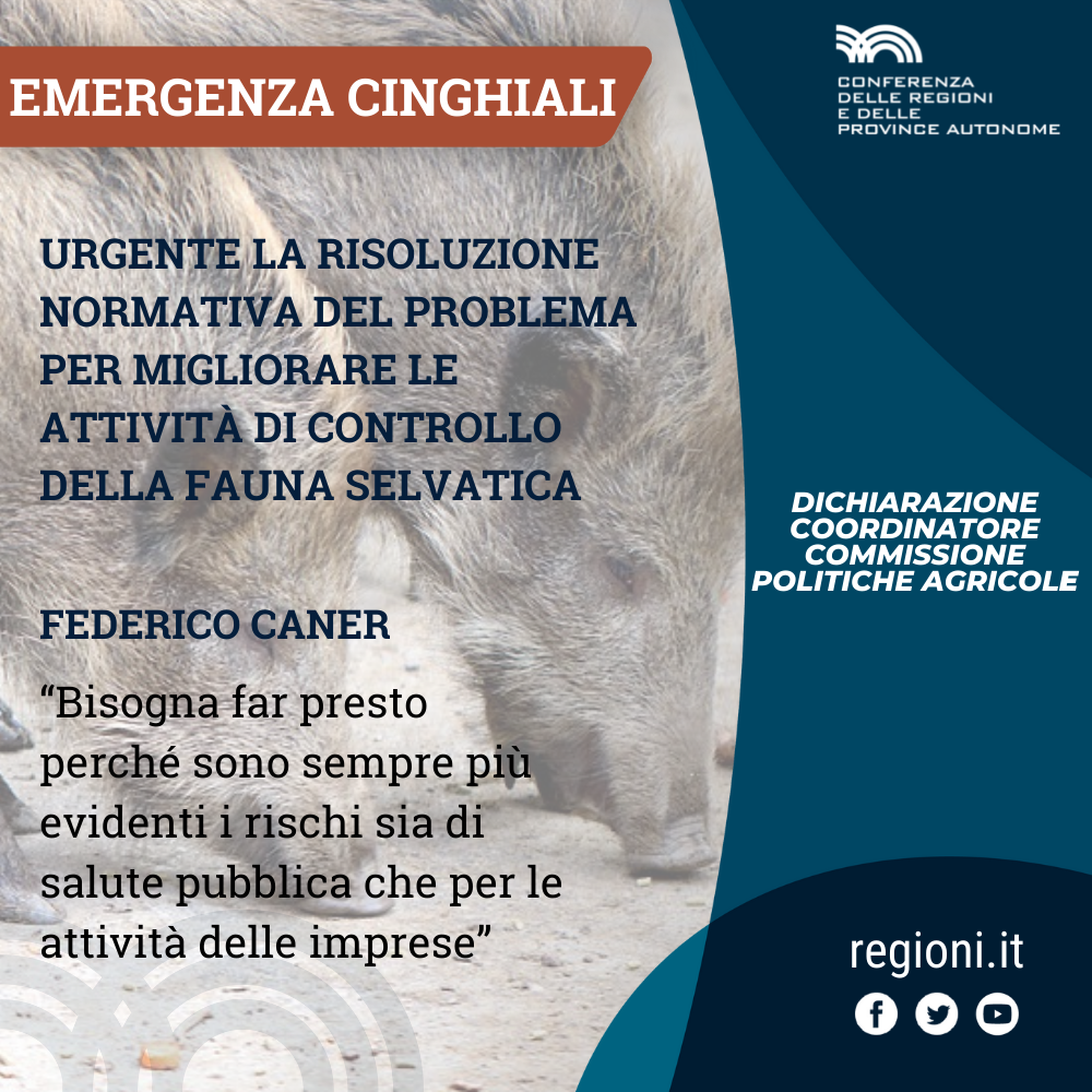 file/ELEMENTO_NEWSLETTER/24225/cinghiali.png