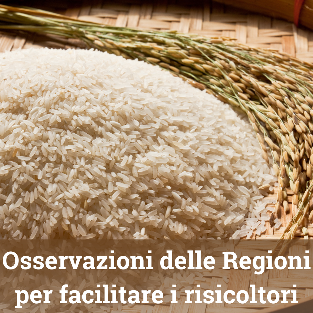 file/ELEMENTO_NEWSLETTER/24686/foto-notizie-Regioni.it(3).png