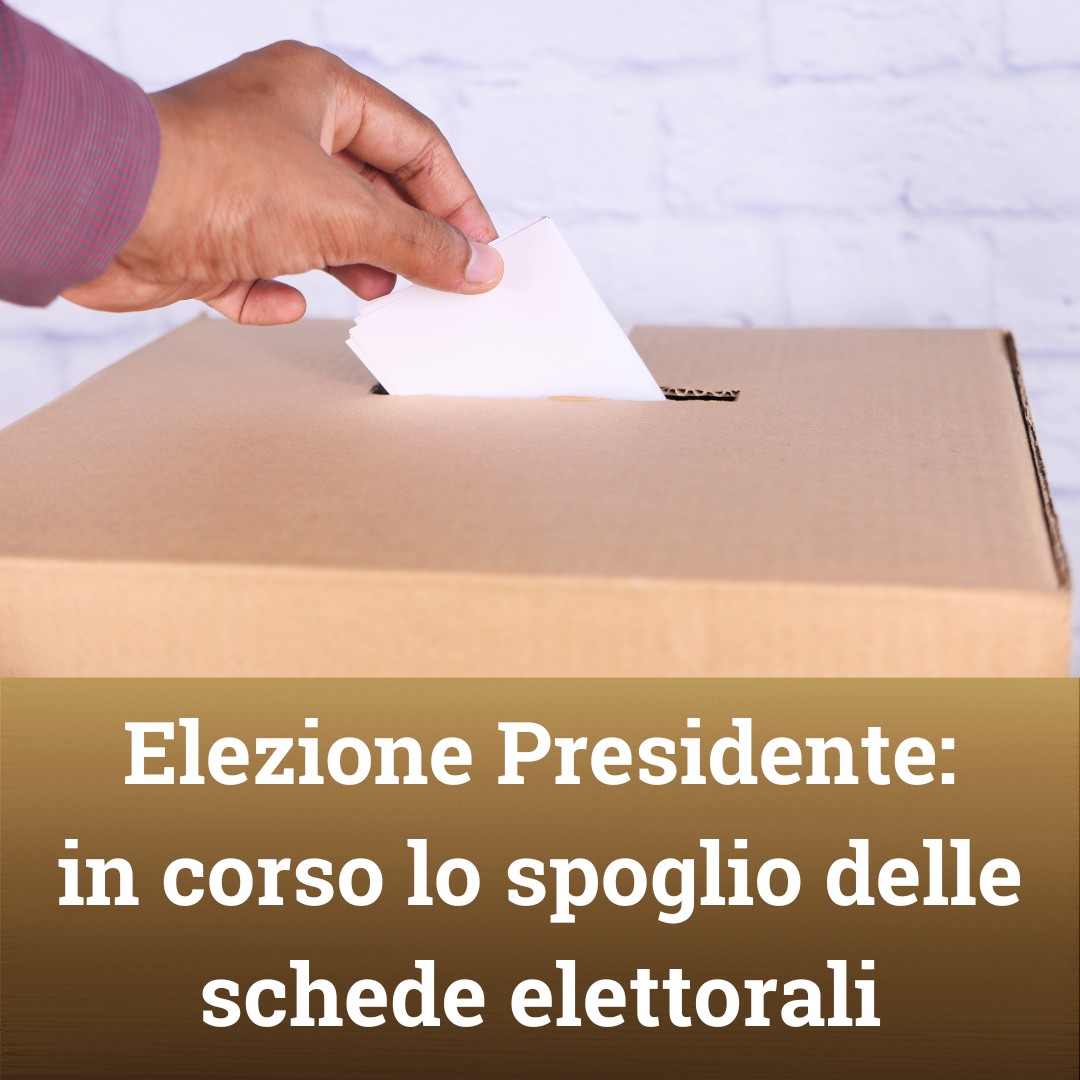 file/ELEMENTO_NEWSLETTER/24722/elezioni.png