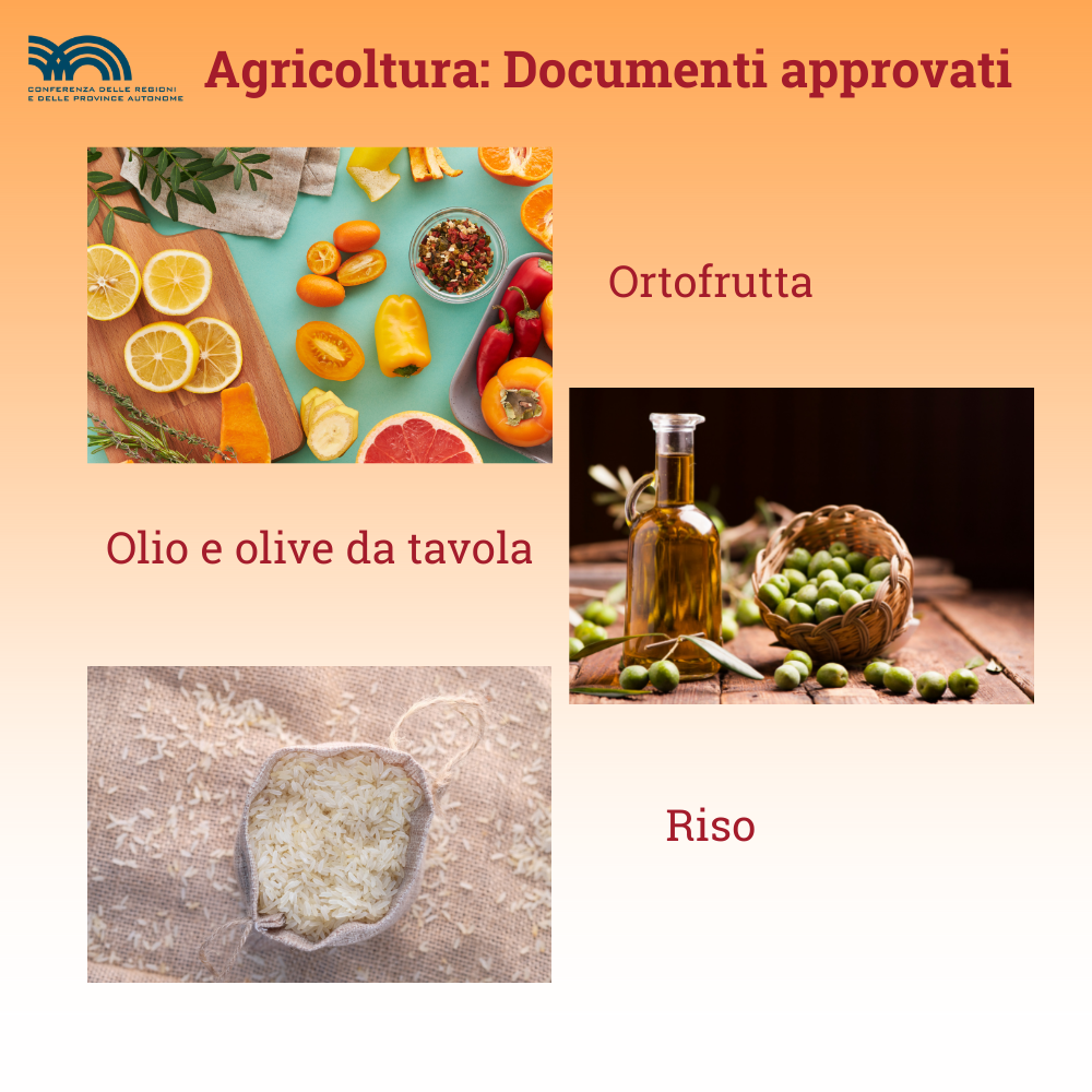 file/ELEMENTO_NEWSLETTER/24754/Agricoltura_doc_approvati.png