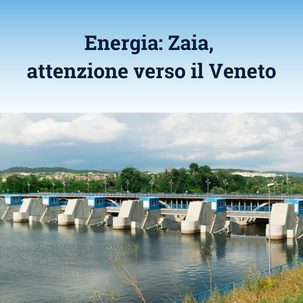 file/ELEMENTO_NEWSLETTER/24755/Energia_zaia_3.png