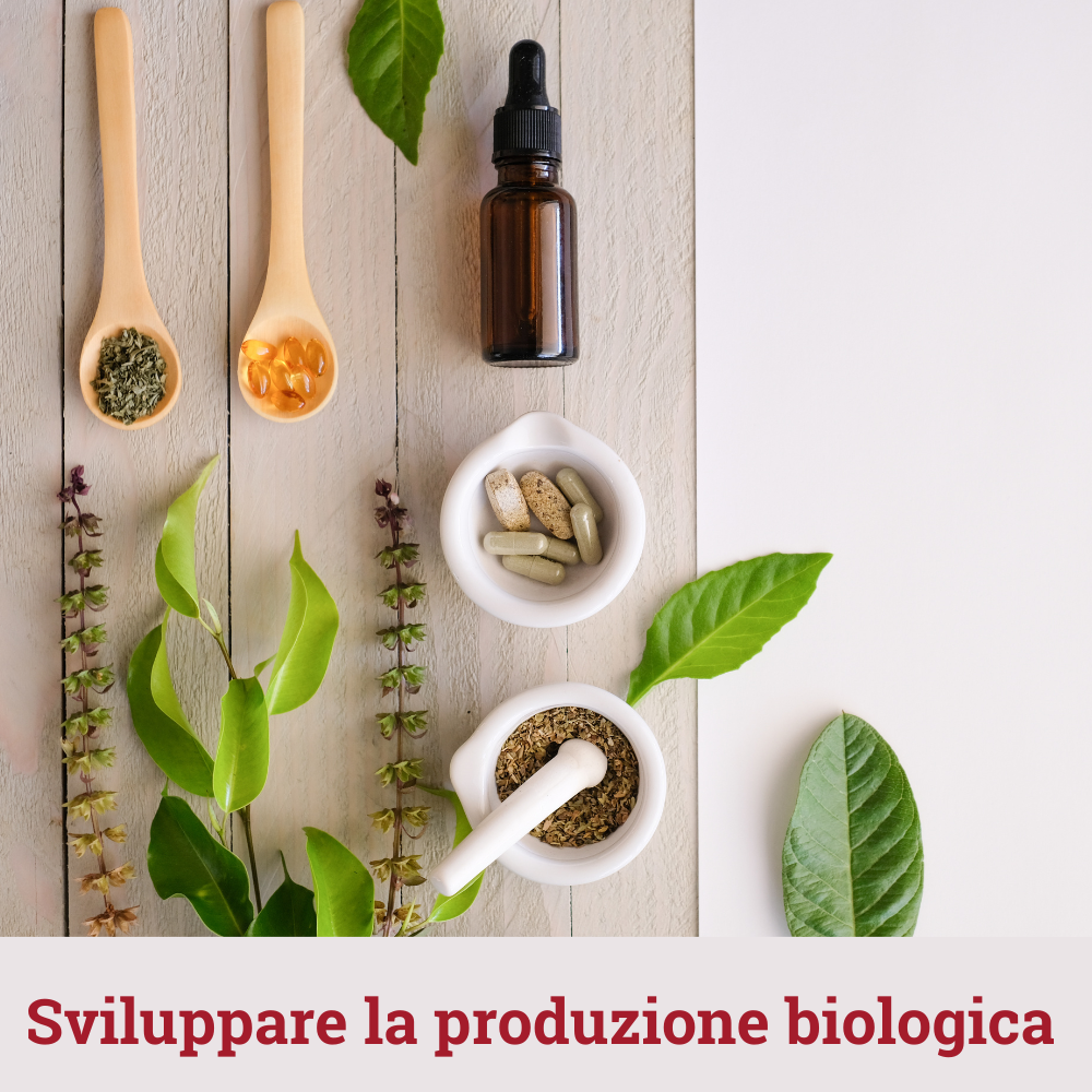 file/ELEMENTO_NEWSLETTER/24767/sviluppo_bio.png