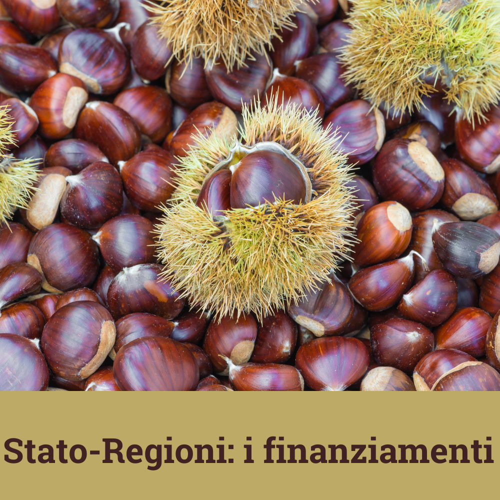 file/ELEMENTO_NEWSLETTER/24771/Castagne.png