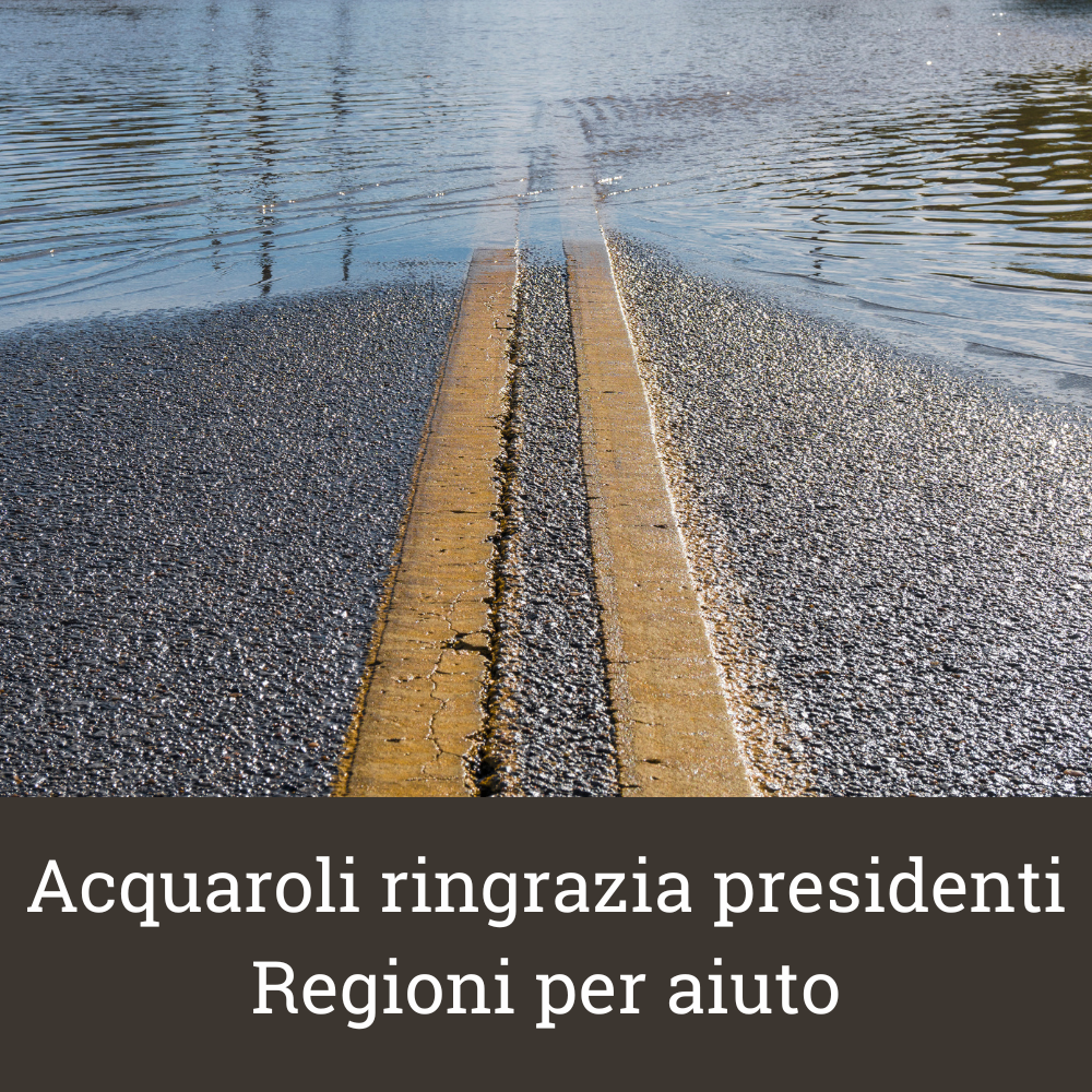 file/ELEMENTO_NEWSLETTER/24797/alluvione.png