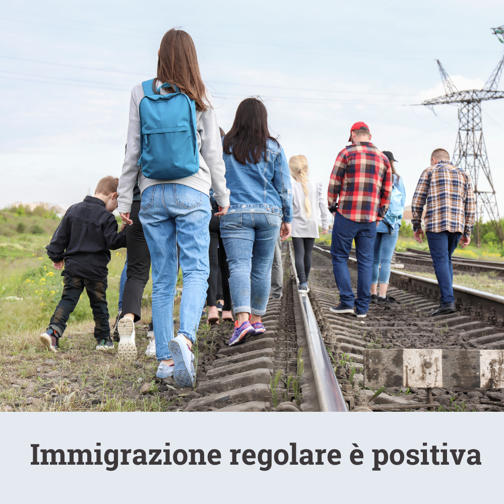 file/ELEMENTO_NEWSLETTER/24829/Immigrazione.png