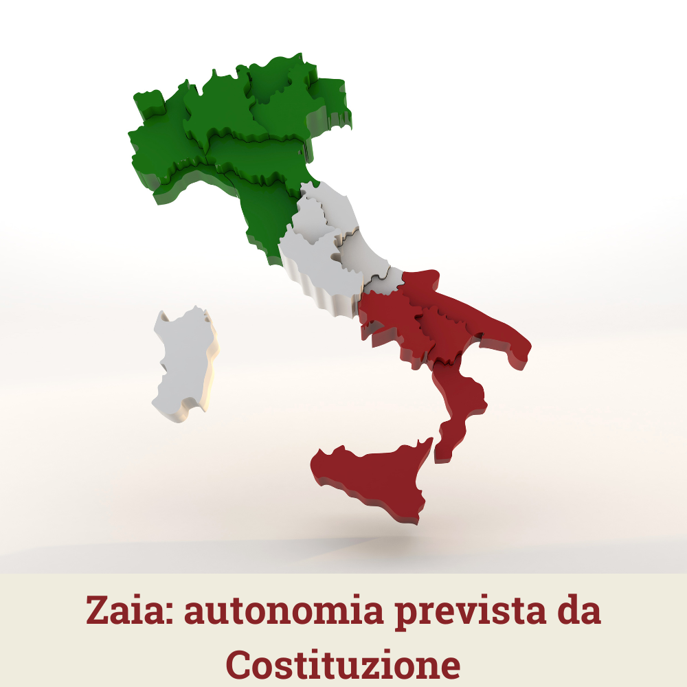 file/ELEMENTO_NEWSLETTER/24974/zaia_costituzione.png