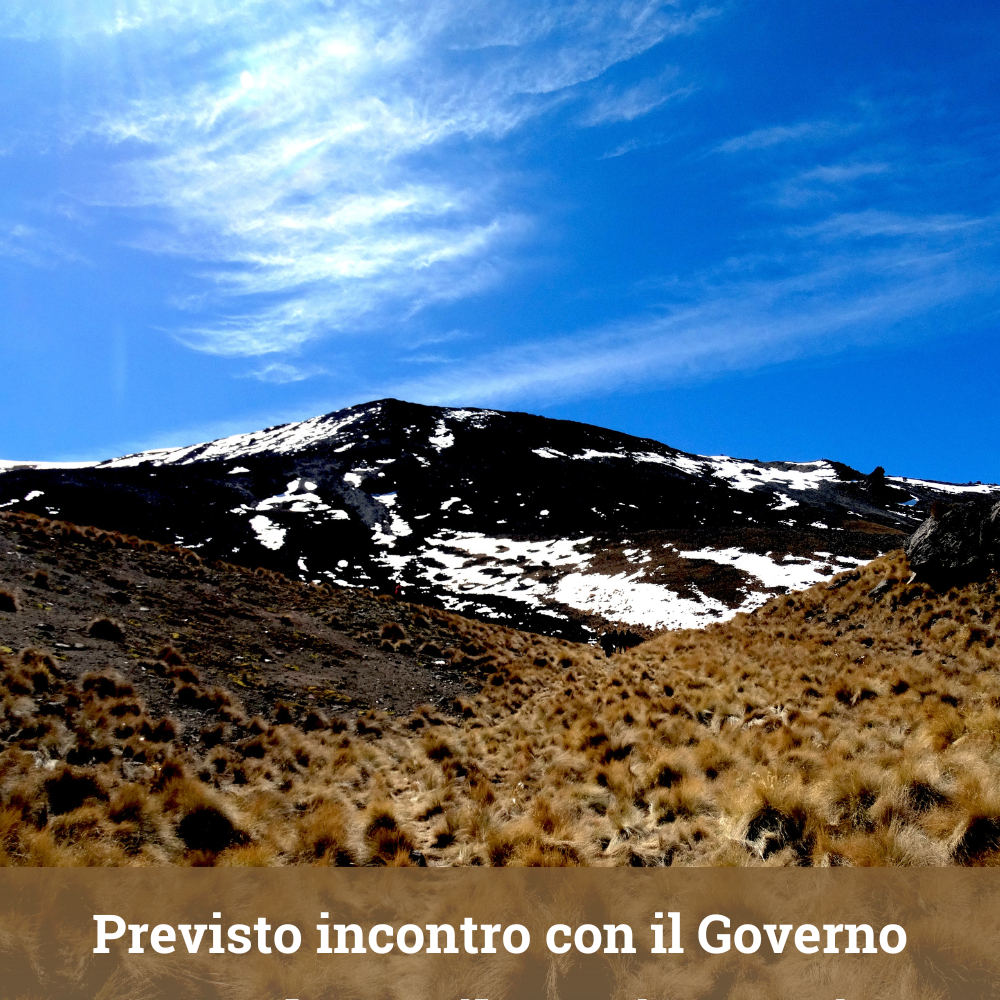 file/ELEMENTO_NEWSLETTER/25097/Foto-notizie-Regioni.it(49).png