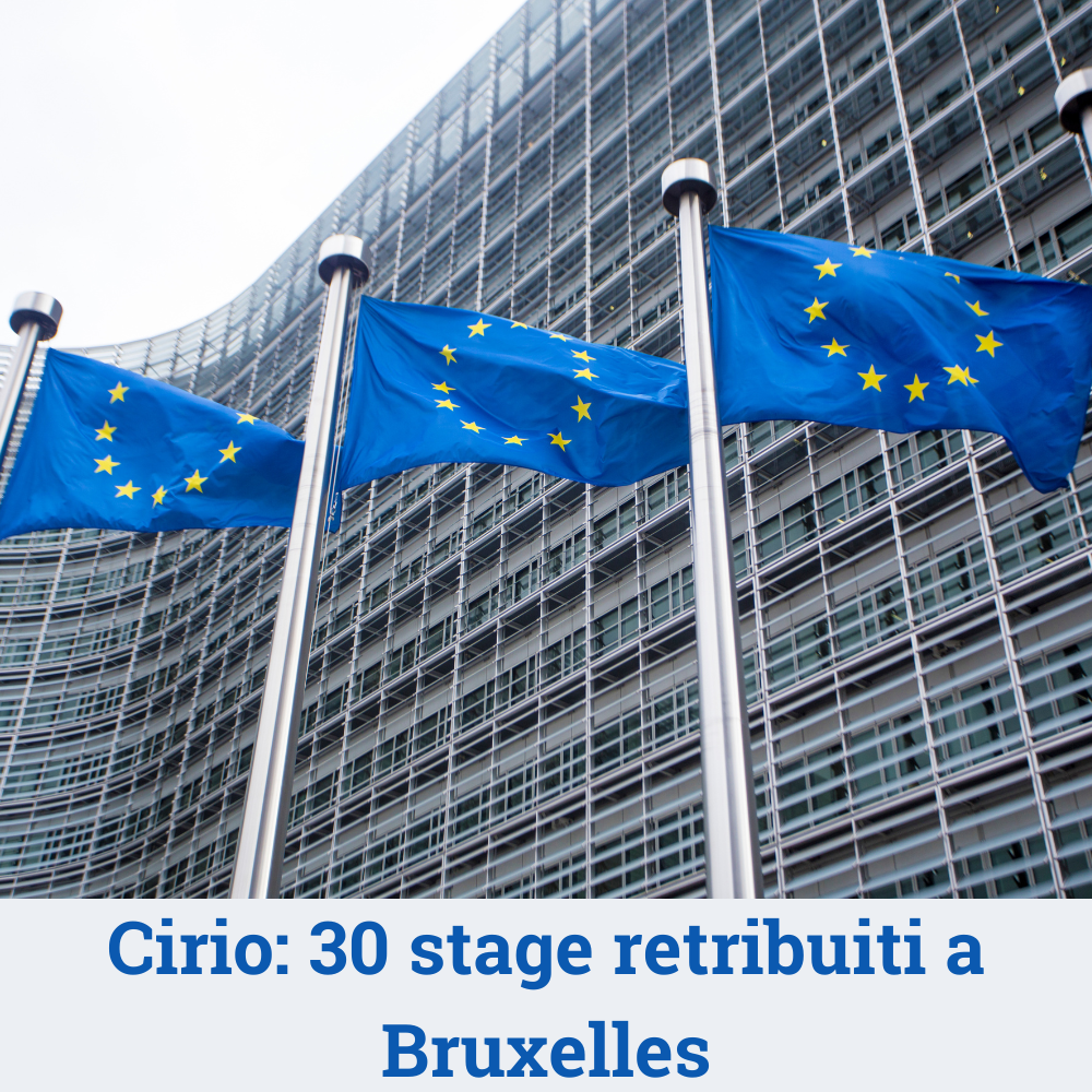 file/ELEMENTO_NEWSLETTER/25140/Bruxelles.png