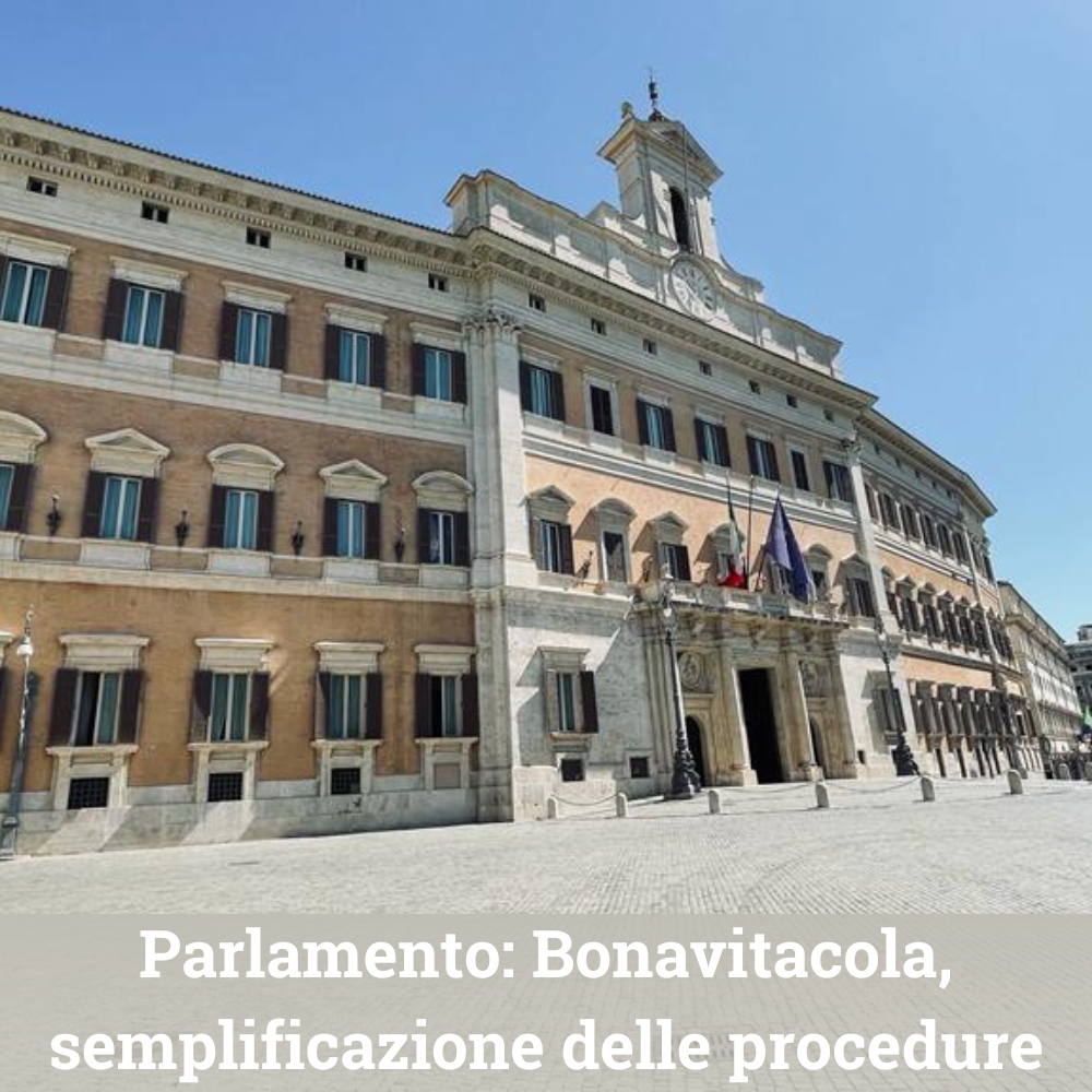 file/ELEMENTO_NEWSLETTER/25206/Foto-notizie-Regioni.it(22).png