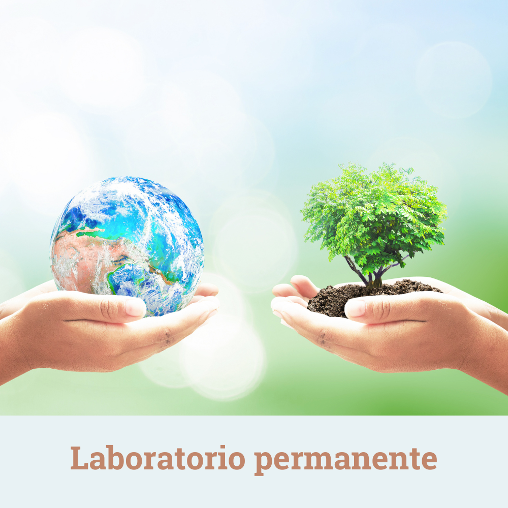 file/ELEMENTO_NEWSLETTER/25242/ambiente.png