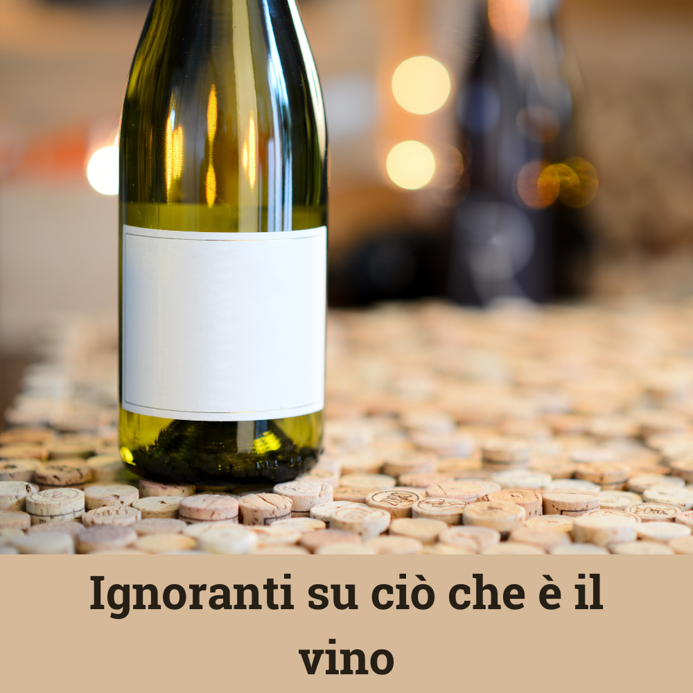 file/ELEMENTO_NEWSLETTER/25246/vino.png