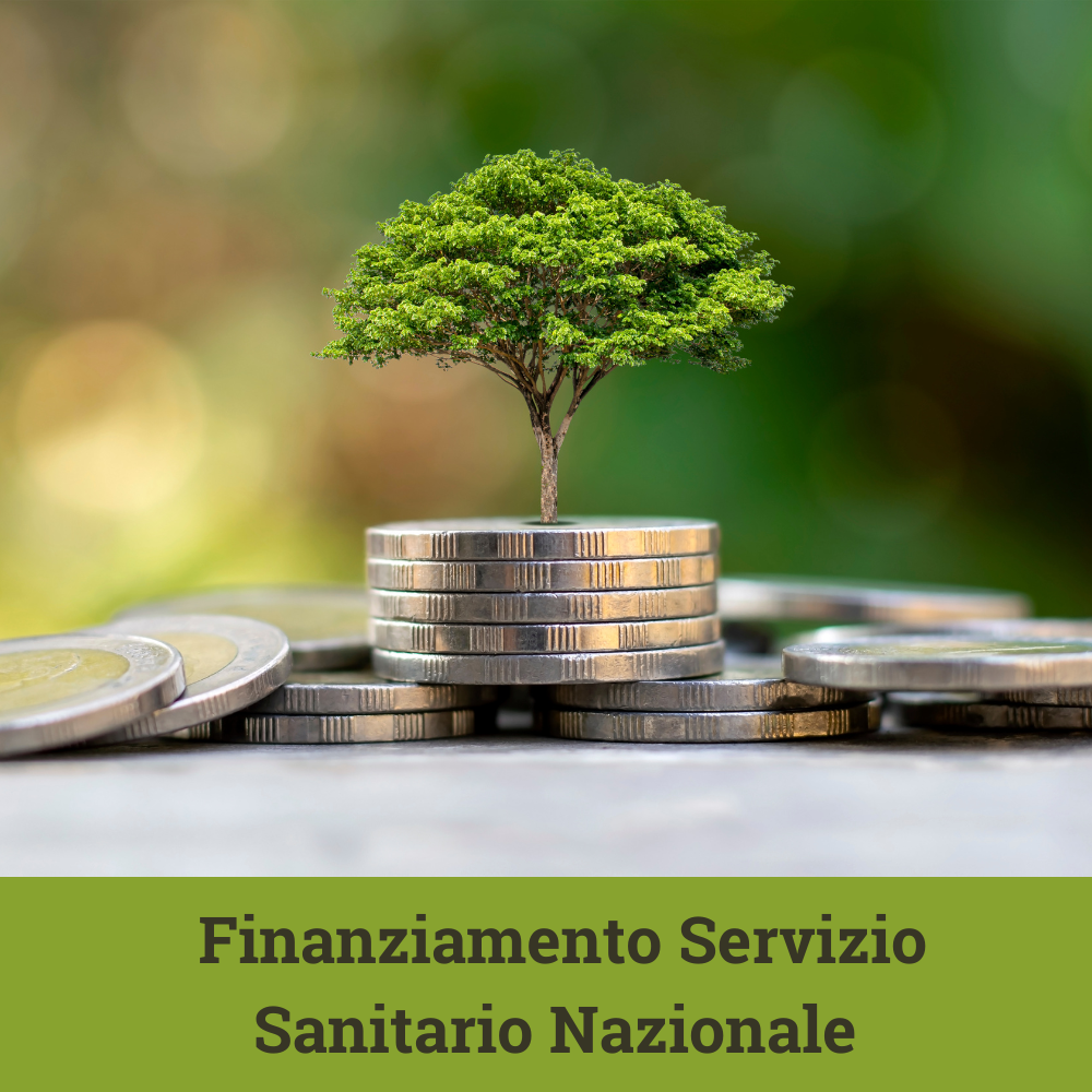 file/ELEMENTO_NEWSLETTER/25248/finanziamento.png