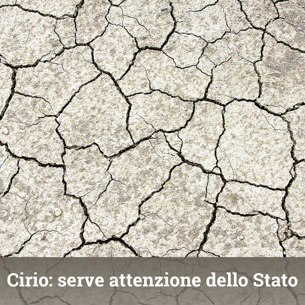 file/ELEMENTO_NEWSLETTER/25332/disabili(12).png