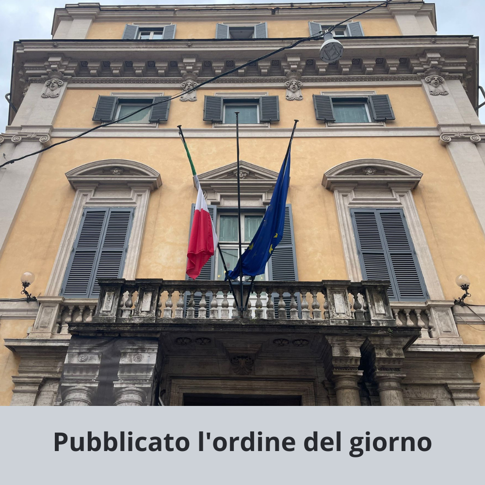 file/ELEMENTO_NEWSLETTER/25718/audizione-(1).png