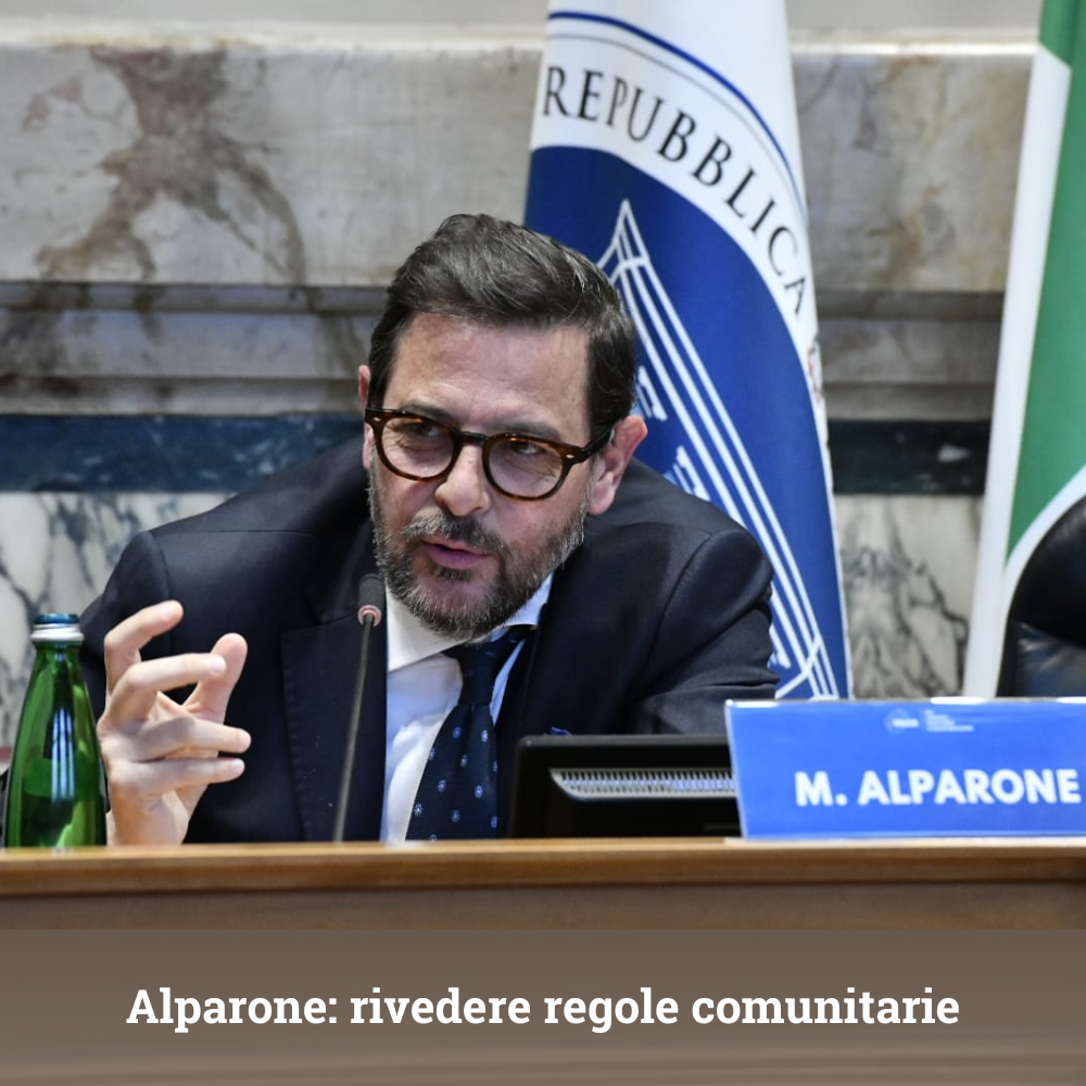 file/ELEMENTO_NEWSLETTER/25988/autonomia-calderoli(53).png