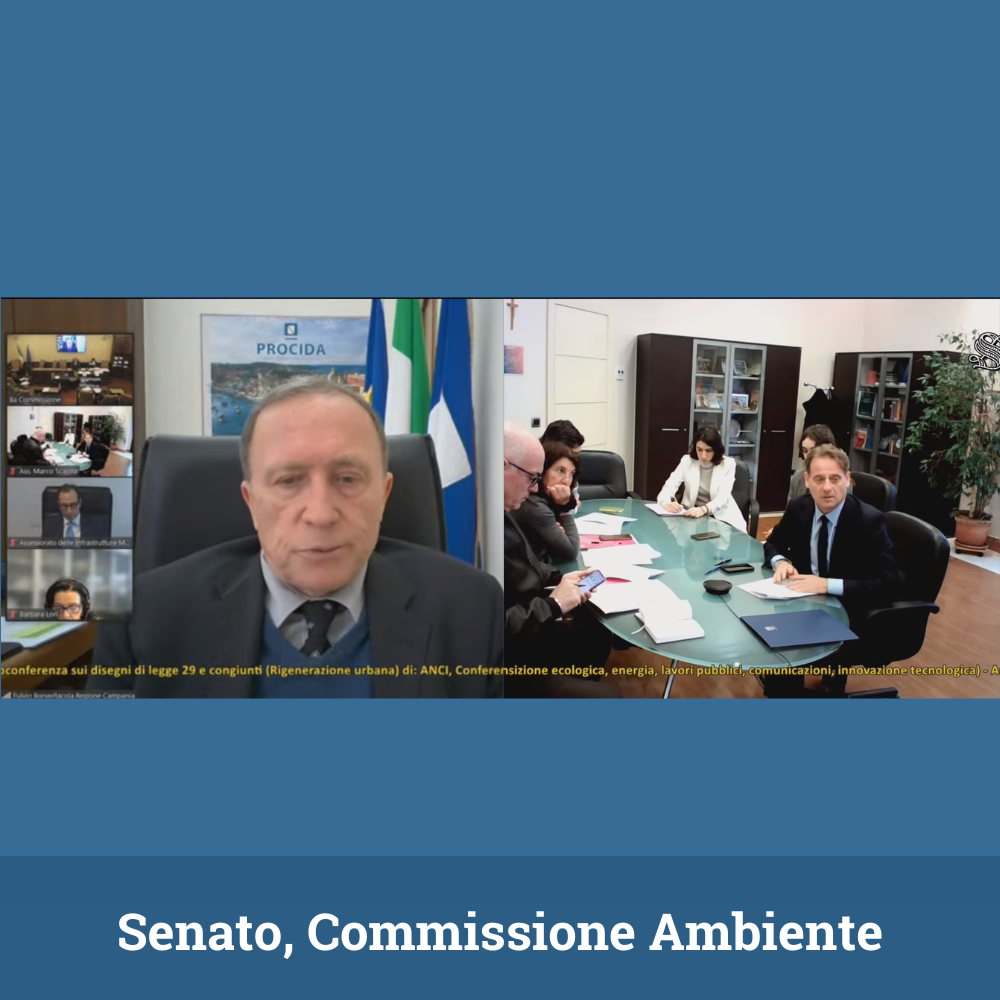 file/ELEMENTO_NEWSLETTER/26064/autonomia-calderoli(85).png