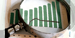 file/ELEMENTO_NEWSLETTER/8961/sviluppo_lente.gif