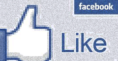 file/ELEMENTO_NEWSLETTER/9242/facebook_like.gif
