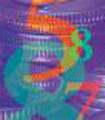 file/ELEMENTO_NEWSLETTER/9279/bilanci_0.gif