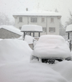 file/ELEMENTO_NEWSLETTER/9410/Neve_in_Romagna.gif