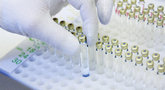 file/Image/dalleRegioni/Biosimilari.jpg