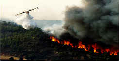 file/Image/dalleRegioni/Canadair%20Toscana.jpg