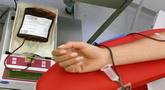 file/Image/dalleRegioni/donazione_sangue.jpg