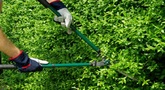 file/Image/dalleRegioni/manutentore-verde.jpg