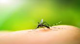 file/Image/dalleRegioni/west_nile.jpg