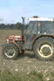 file/Image/foto/60x90/SIMBOLICHE/Agricoltura_Trattore.gif