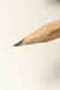 file/Image/foto/60x90/SIMBOLICHE/matita_punta.gif