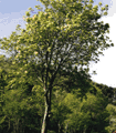 file/Image/newsletter_foto/2005/1e32506e234ed7a2051bb2bb9a5a4cf7.jpg