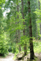 file/Image/newsletter_foto/2005/4dba0b3209be755708fcf621226f8be7.jpg