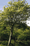 file/Image/newsletter_foto/2005/8113a5740db6a8e2f41c15293b467d0c.jpg