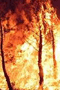 file/Image/newsletter_foto/2005/97ee6293be437169623e0909739397bb.jpg