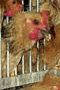 file/Image/newsletter_foto/2005/9968f4a669ff6ef0a401b189ccc6196a.jpg