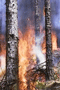 file/Image/newsletter_foto/2005/aa802a7cbf1a26c0fdefd5ba7ee9e2a8.jpg