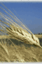 file/Image/newsletter_foto/2005/c46e83bf0516e826b08dcdd639b0b596.jpg