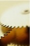 file/Image/newsletter_foto/2005/cc7ad10ee73f16d2370d3d8518ca086c.jpg