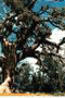 file/Image/newsletter_foto/2005/d76e0c9e485e4d6308af14afa32de036.jpg